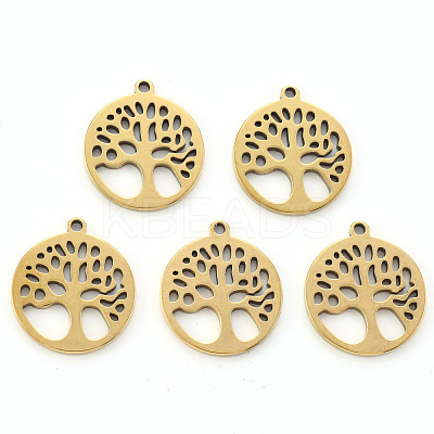 304 Stainless Steel Pendants STAS-N092-09G-1