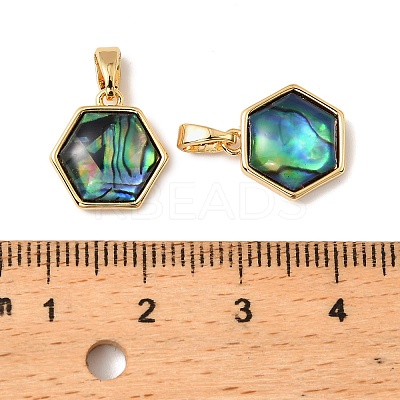 Natural Paua Shell Hexagon Charms KK-G538-30G-1