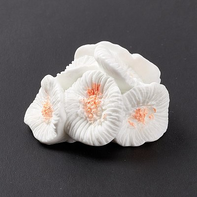 Resin Imitation Coral Ornaments DJEW-G026-10A-1