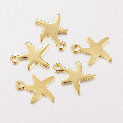 304 Stainless Steel Charms LS-X-STAS-F162-40G-1