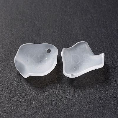 Frosted Acrylic Pendants OACR-G014-02-1