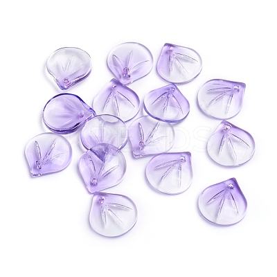 Transparent Glass Charms GLAA-H016-05E-17-1