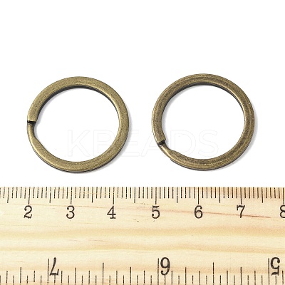 Iron Split Key Rings FIND-B046-06A-AB-1
