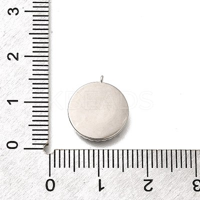 Brass Micro Pave Cubic Zirconia and Acrylic Charms KK-Q035-02P-1
