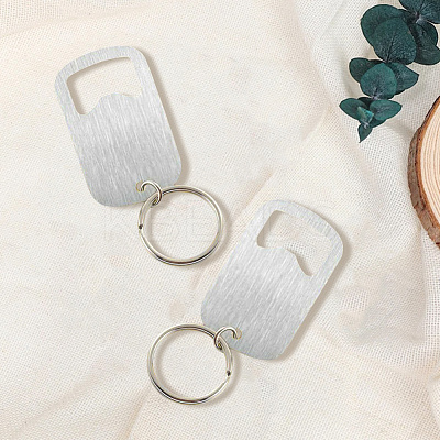 Stainless Steel Keychains AJEW-WH20077-035A-P-1