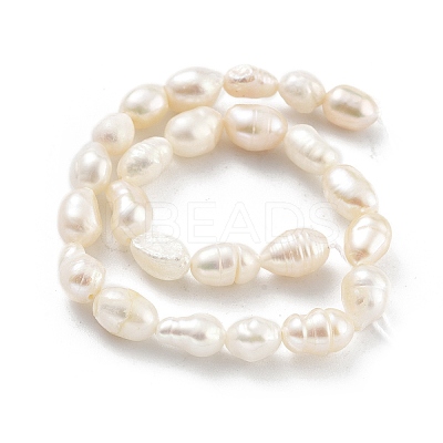 Natural Keshi Pearl Cultured Freshwater Pearl Beads Strands PEAR-P062-34-1