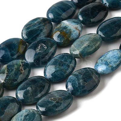 Natural Apatite Beads Strands G-Q026-A01-03-1