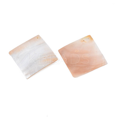 Natural Freshwater Shell Big Pendants SHEL-N026-177-1