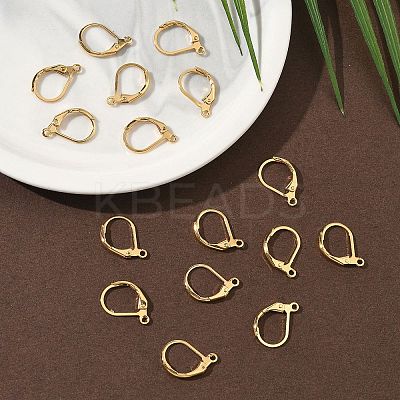 SHEGRACE Brass Leverback Earring Findings XGR0071G-48G-1