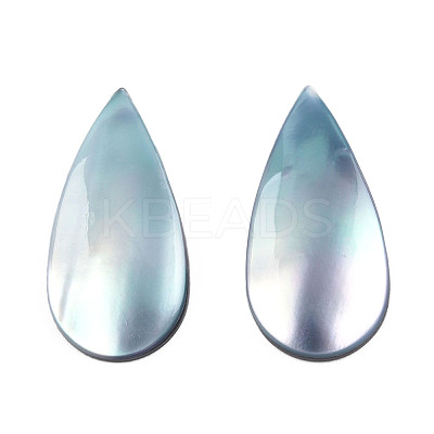 Natural Turbo Cornulus/Top Shells Cabochons SSHEL-N003-156A-1