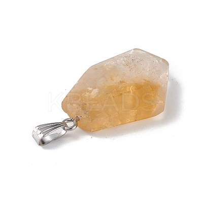 Natural Mixed Stone Pendants G-F739-02P-1