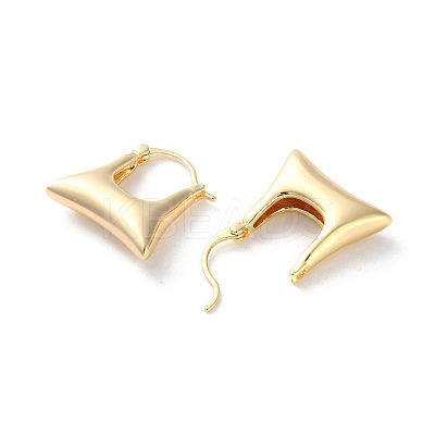 Rack Plating Brass Hoop Earrings EJEW-S241-21G-1