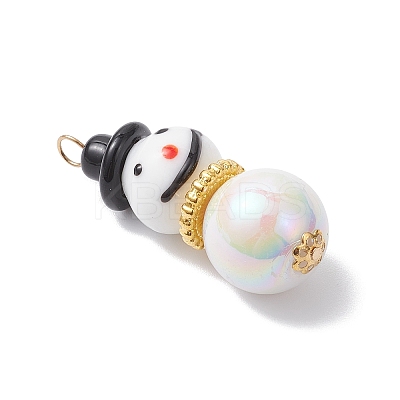 Handmade Lampwork Pendants PALLOY-JF04350-01-1