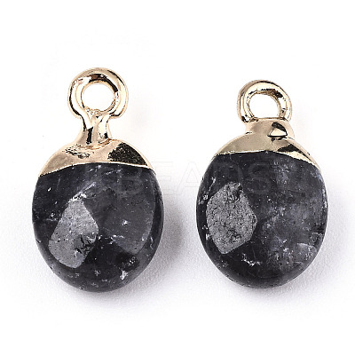 Natural Larvikite Charms X-G-N326-58A-1
