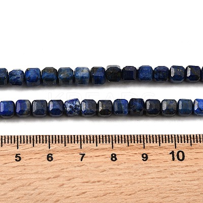 Natural Lapis Lazuli Beads Strands G-F797-A11-01-1