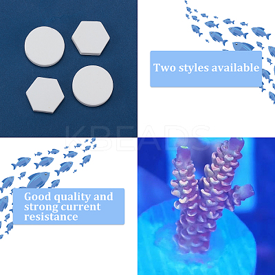 24Pcs 2 Style Coral Frag Tiles AJEW-CA0002-82-1
