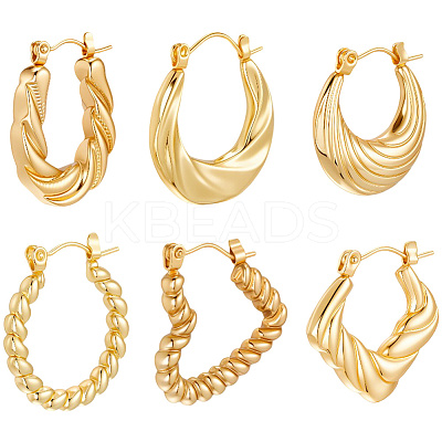 6 Pairs 6 Style 304 Stainless Steel Hoop Earrings for Women EJEW-BBC0001-96-1