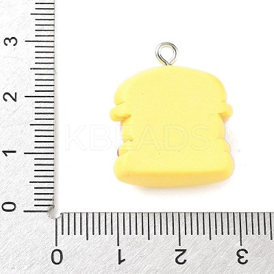 Cute Pin Theme Opaque Resin Pendants LS-RESI-V005-007B-1