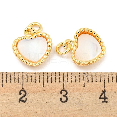 Natural Shell & Brass Heart Charms with Jump Rings KK-P275-08G-1