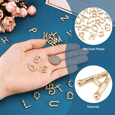 Alloy Pendants PALLOY-S137-001-NR-1