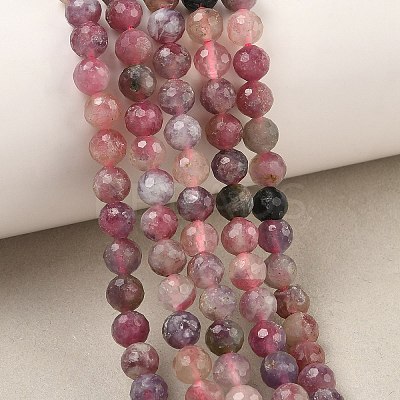 Natural Plum Blossom Tourmaline Beads Strands G-G927-22A-01-1