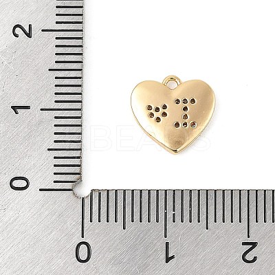 Brass Micro Pave Clear Cubic Zirconia Charms KK-R219-29G-1