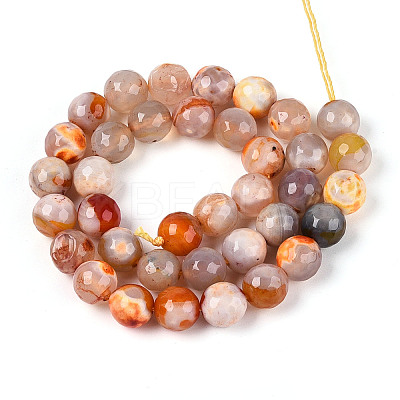 Dyed & Heated Natural Fire Crackle Agate Beads Strands G-N359-01B-10-1