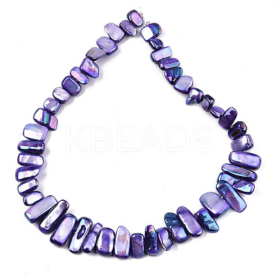 Natural Freshwater Shell Beads Strands X-SHEL-N026-123H-1
