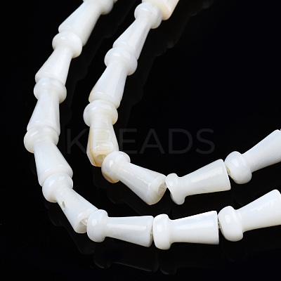 Natural Freshwater Shell Beads Strands SHEL-N026-199-1