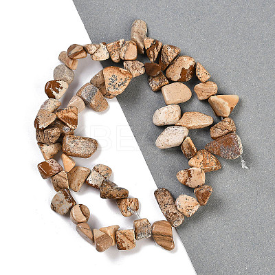 Natural Picture Jasper Nuggets Beads Strands G-B125-A10-01-1