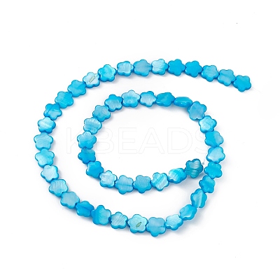 Natural Freshwater Shell Dyed Beads Strands SHEL-K001-001F-1