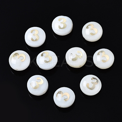 Natural Freshwater Shell Beads SHEL-N003-20-03-1