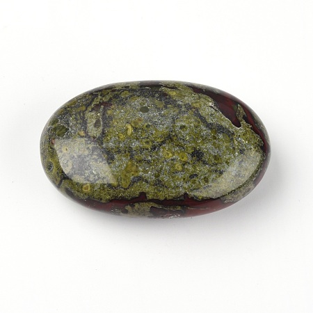Natural Dragon Blood Jasper Cabochons G-WH0010-03-1