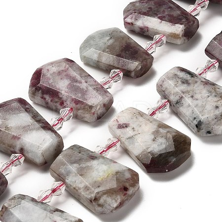 Natural Plum Blossom Tourmaline Beads Strands G-H078-A01-02-1