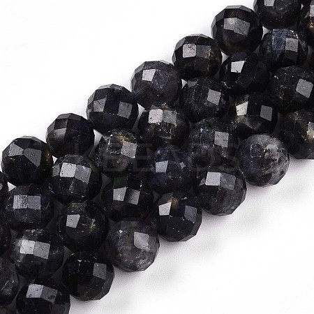 Natural Cordierite/Iolite/Dichroite Beads Strands G-S345-10mm-27-1