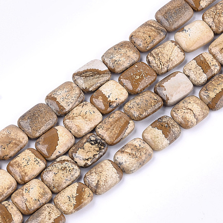 Natural Picture Jasper Beads Strands G-T121-12-1