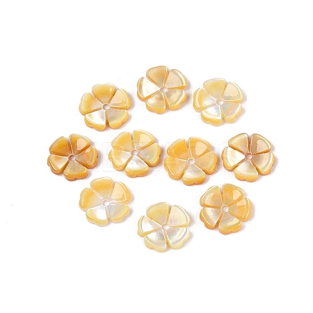 Natural Yellow Shell Carved Beads SHEL-Q028-04-1