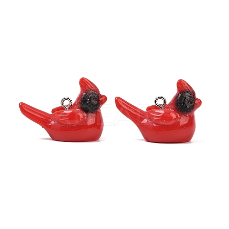 Opaque Resin Pendants RESI-H043-05P-1