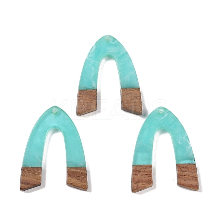 Resin & Wood Pendants LS-WOOD-F015-16D-1