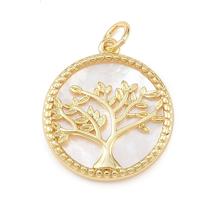 Natural White Shell Pendants KK-P339-03G-1
