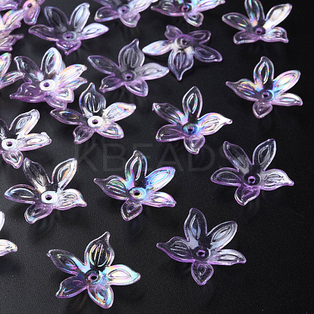 Transparent Acrylic Beads MACR-S373-102-C03-1