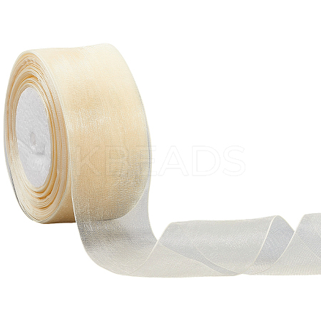 1 Rolls Sheer Organza Ribbon SRIB-CY0001-22C-11-1