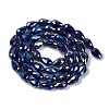 Opaque Solid Color Electroplate Glass Beads Strands EGLA-N013-P10mm-B03-2