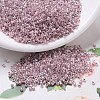 MIYUKI Delica Beads SEED-X0054-DB0256-1