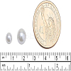 Eco-Friendly Dyed Glass Pearl Round Beads HY-BC0001-6mm-RB011-6