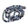 Natural Fluorite Stone Bead Strands G-R192-05-5