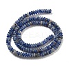 Natural Blue Spot Jasper Beads Strands G-K343-C18-01-3