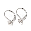 304 Stainless Steel Leverback Earring Findings STAS-G385-04P-1