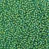 TOHO Round Seed Beads X-SEED-TR08-0307-2