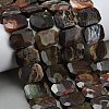 Natural Wealth Stone Beads Strands G-C285-A09-01-1